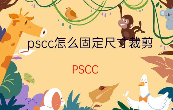 pscc怎么固定尺寸裁剪 PSCC